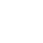 Boarding dogs receive: