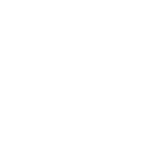 Day care dogs receive: